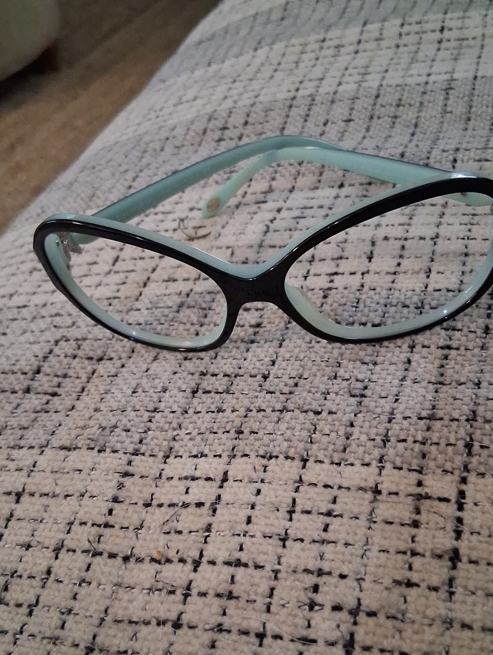 Women's Black & Aqua Cat-Eye Glasses Frames